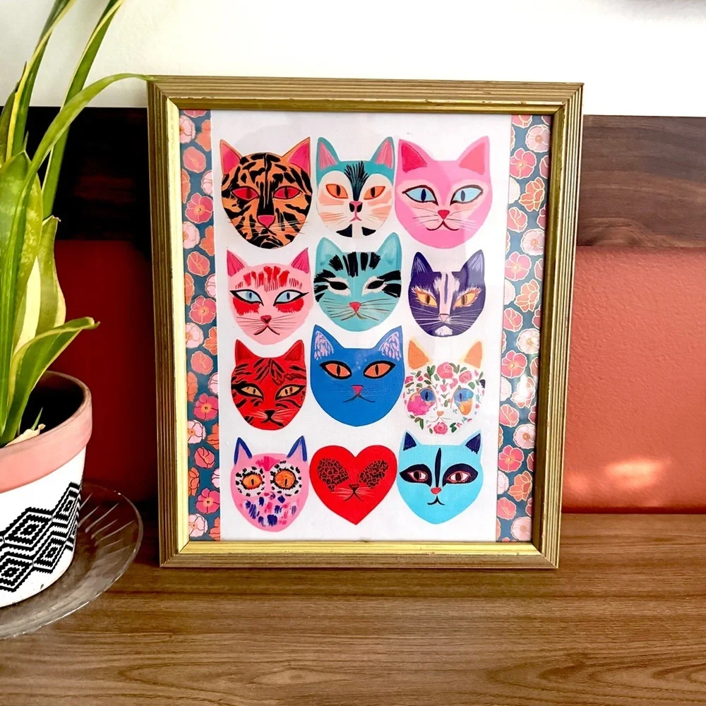 N/A eclectic cat